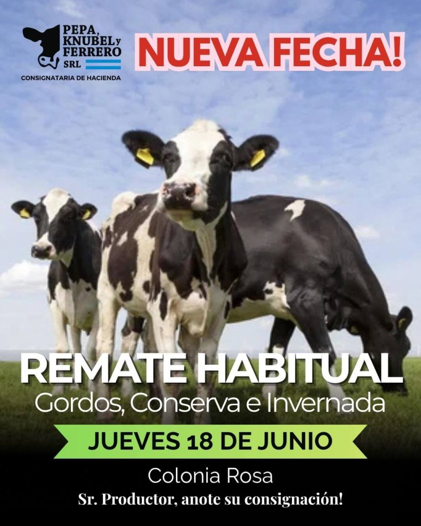 Remate Habitual 18.06
