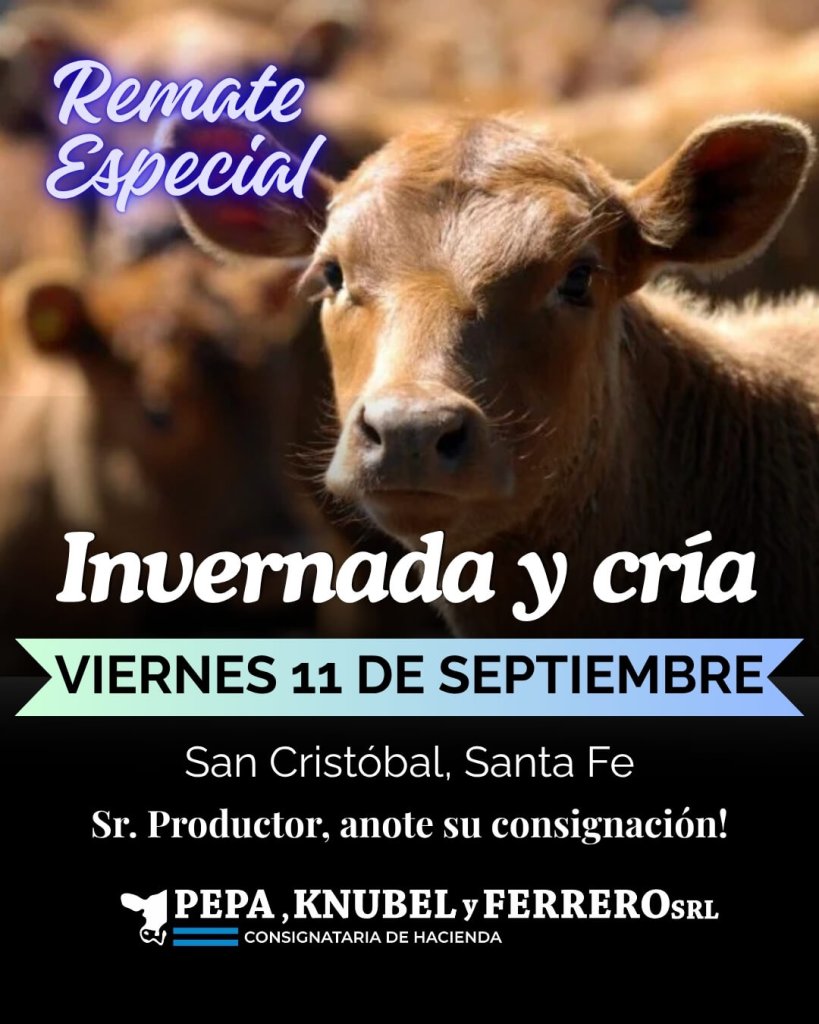Especial Septiembre PKF